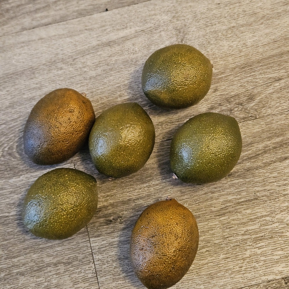 Vintage Artificial Realistic Large Prop Limes Life Size Faux Fruit‎ Lot 6 Fake